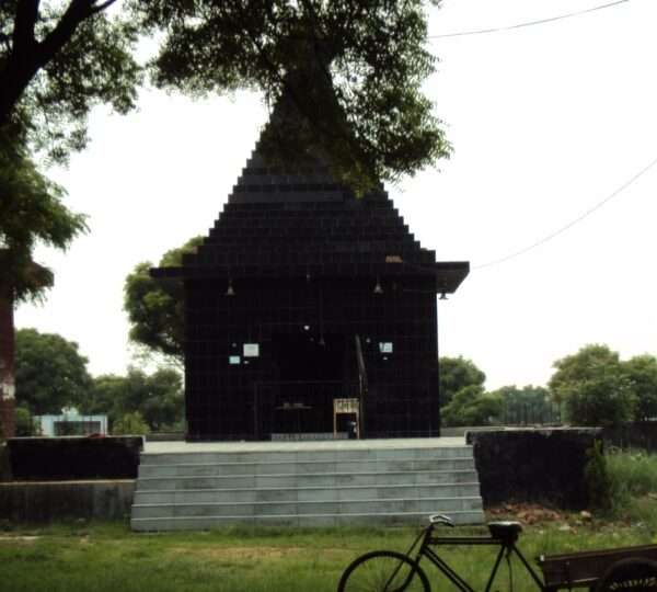 WhatsApp Image 2025-11-12 at 2.49.37 PM (3)