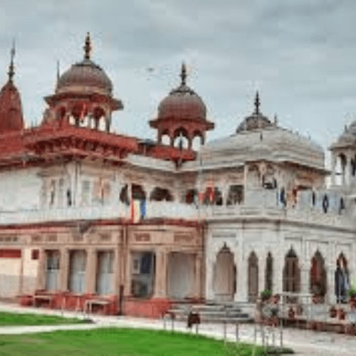 Untitled design (17)