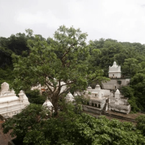 Untitled design (34)