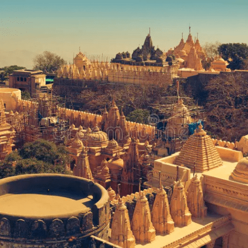 Untitled design (41)