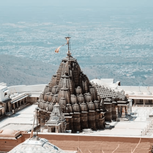 Untitled design (44)