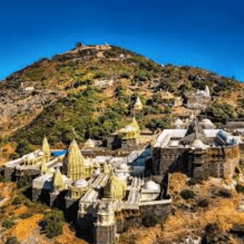 Untitled design (46)