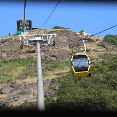 Untitled design (49)