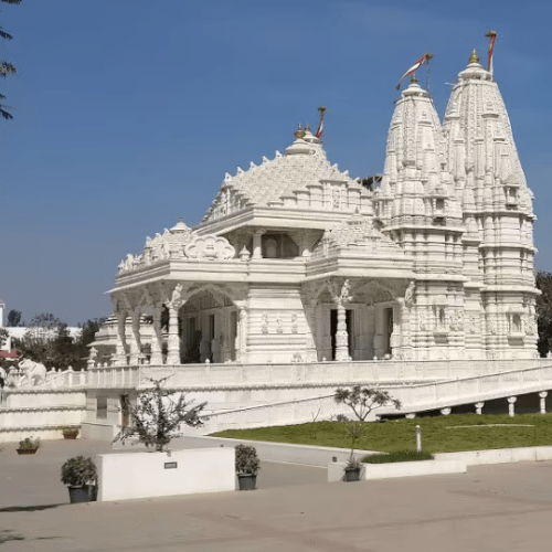 Untitled design (52)