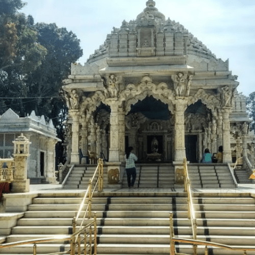 Untitled design (54)