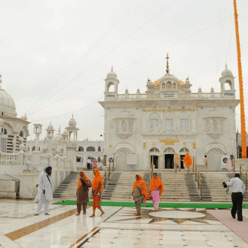 Untitled design (61)