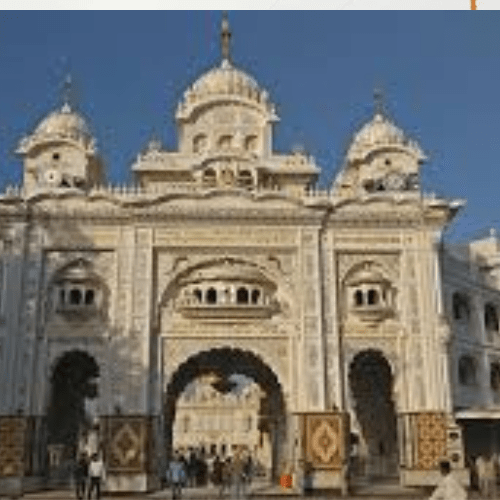 Untitled design (62)