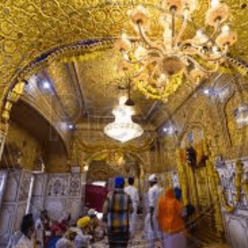 Untitled design (63)