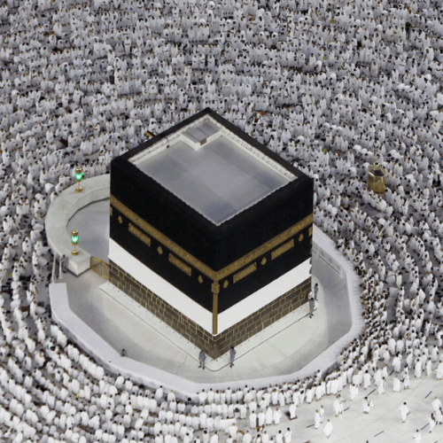 Untitled design (66)