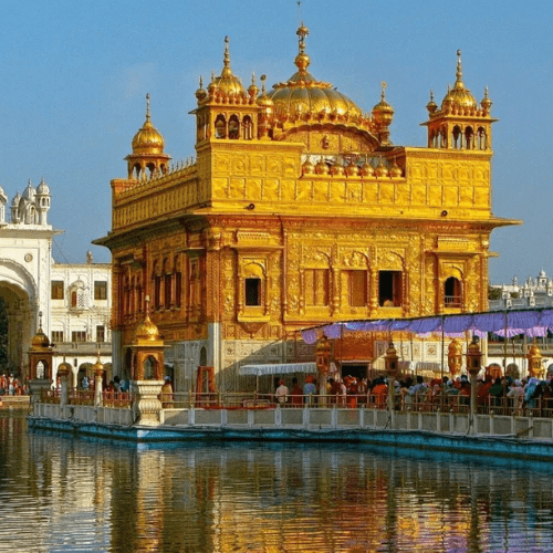 Untitled design (67)