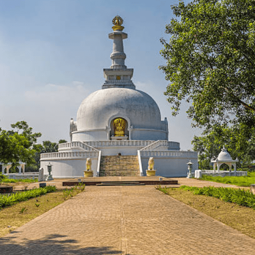 Untitled design (69)