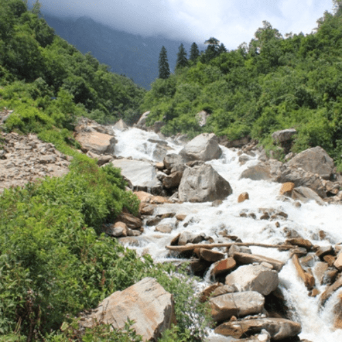 Untitled design - 2026-01-16T181623.923