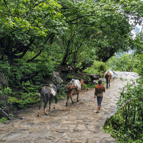 Untitled design - 2026-01-16T181704.451