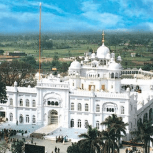 Untitled design (84)