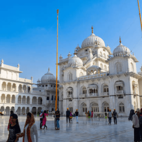 Untitled design (85)