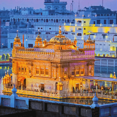 Untitled design (87)