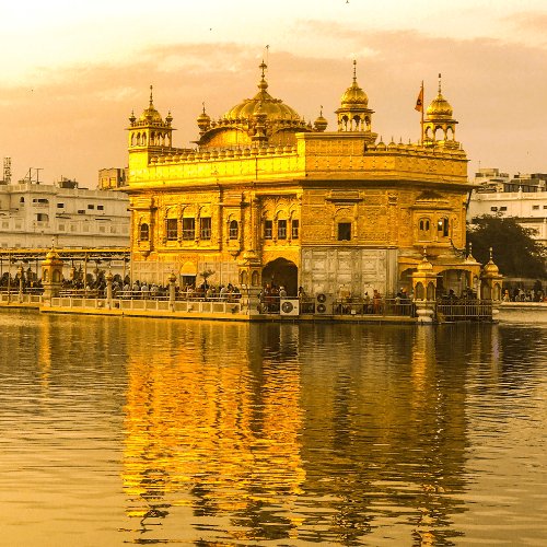 Untitled design (89)