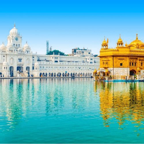 Untitled design (90)