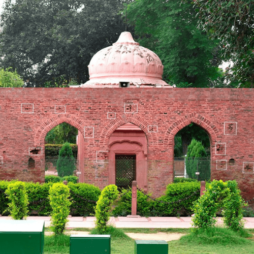 Untitled design (92)