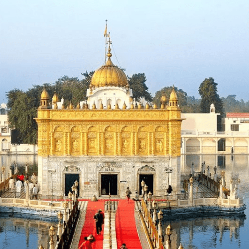 Untitled design (93)