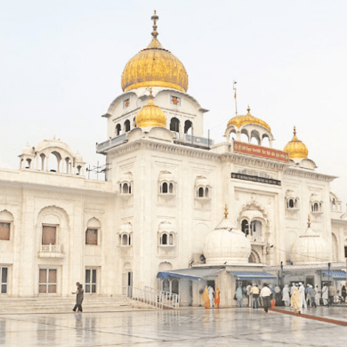 Untitled design (94)