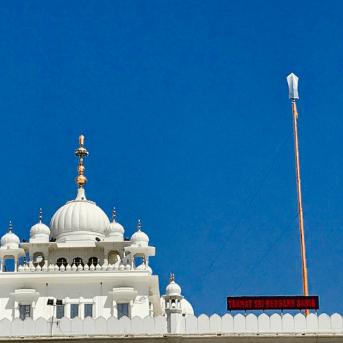 Untitled design (99)